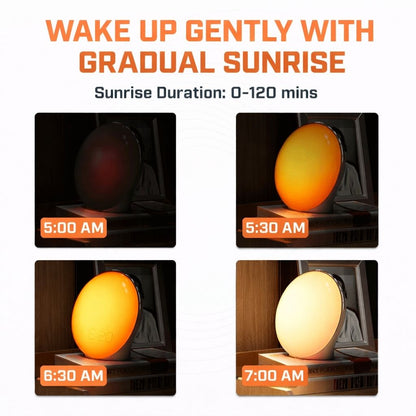 Sunrise Alarm Clock with Night Light & White Noise – Wake Up Light Alarm Clock - Circadian Dream